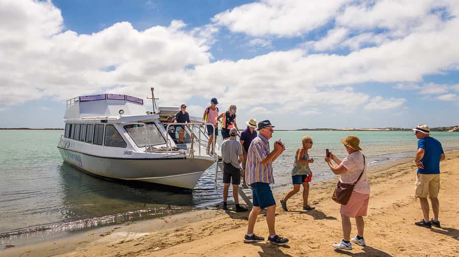 From Goolwa: Half-Day Coorong Experience - Wildlife, Birds, and the Last Miles of the Murray River