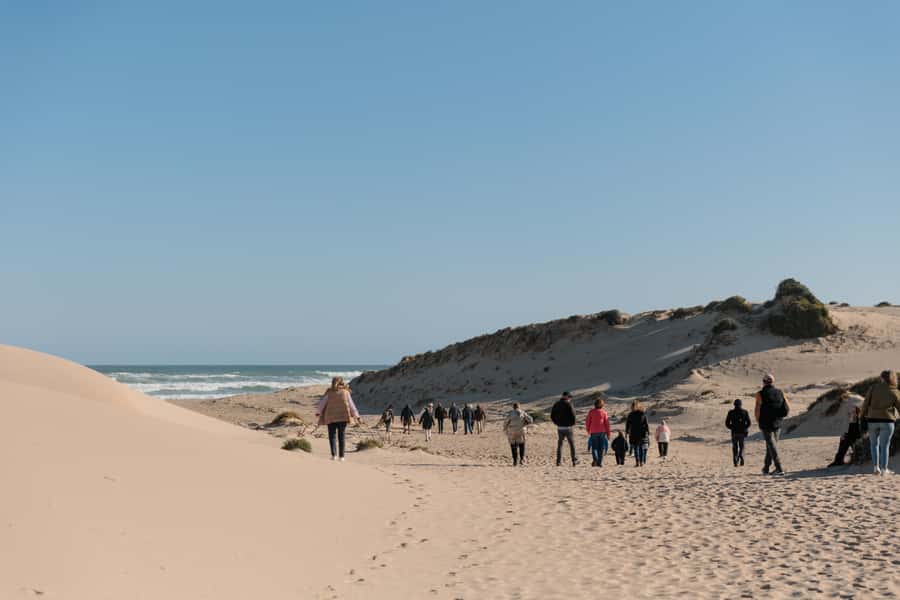 From Goolwa: Half-Day Coorong Experience - Lunch and Afternoon Tea: Simple, Included, and Part of the Comfort