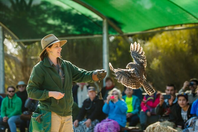 Full Day Kangaroo Island Sip and See Tour departing from Kangaroo Island - Key highlights I’d block time for