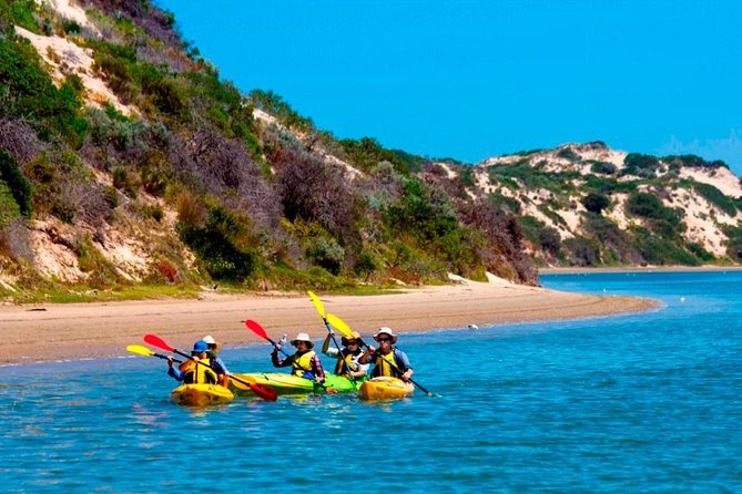 Full Day Kayaking Tour in Coorong National Park - Key highlights you’ll feel right away