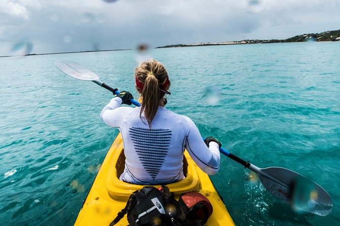 Full Day Kayaking Tour in Coorong National Park - Price and value: what $39 actually buys you