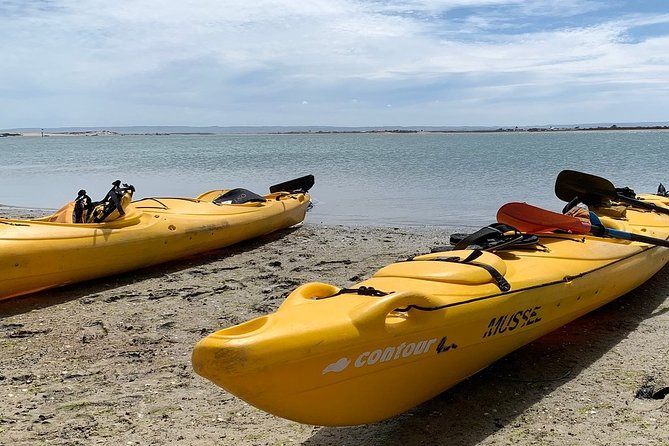 Full Day Kayaking Tour in Coorong National Park - About three hours of kayaking: pacing, stops, and why it feels relaxed