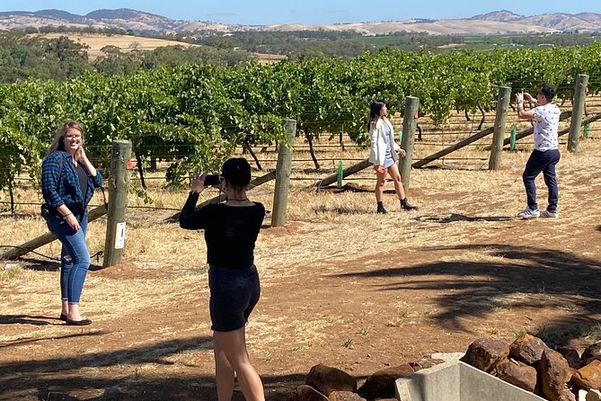 Full-Day Private Barossa Valley Wine Bus Tour - Meeting Gerry and Paul: what the best experiences seem to have in common
