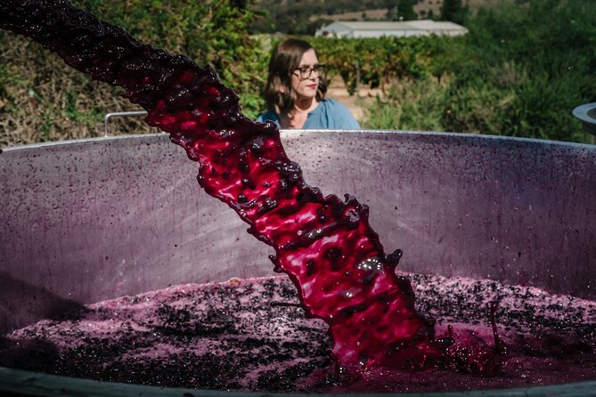 Full Day Private Barossa Valley Wine Tour - Private Barossa Day Trip from Adelaide: what you’re really buying