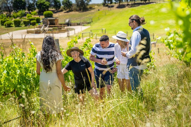 Gemtree Wines: Being Biodynamic Tour - Biodynamic Hut: where grape growing meets the idea of moon and nature
