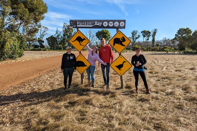 Guided Koala Walk and Bushfire ecology tour - Price and value for a 90-minute sanctuary experience
