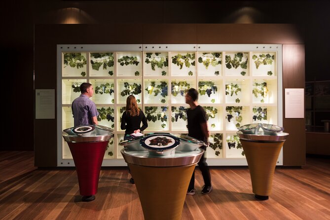 Guided Wine Journey and Discovery Tasting Tour in Adelaide - Key takeaways before you go
