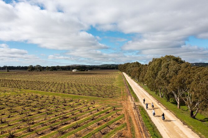 Hahndorf food and wine E-Bike Tour - Adelaide Hills, but faster and easier: why this e-bike tour works