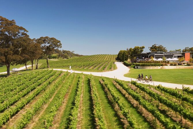 Hahndorf food and wine E-Bike Tour - Udder Delights cheese cellar: more than a cheese board