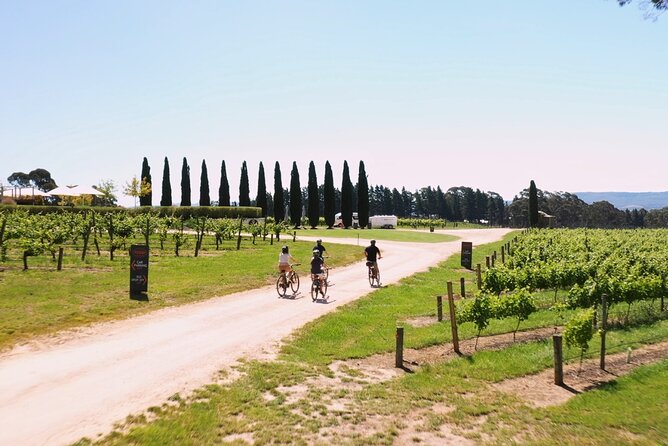 Hahndorf food and wine E-Bike Tour - Back at The Lane Vineyard: finalize with Taste the Lane