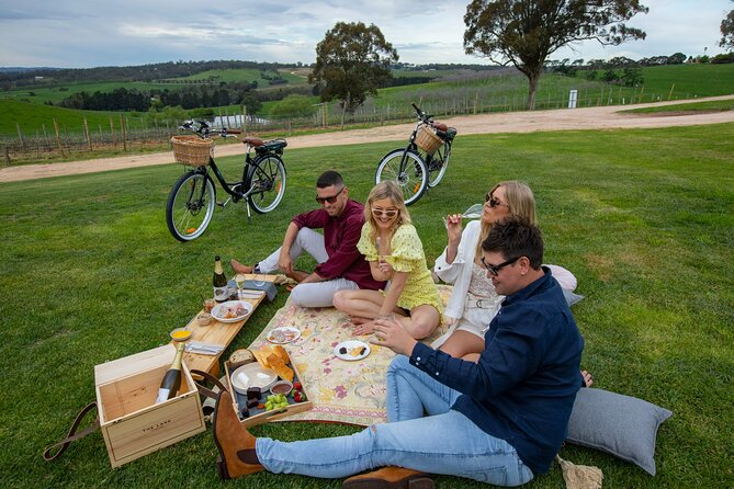 Hahndorf food and wine E-Bike Tour - The e-bike details that make this feel genuinely comfortable