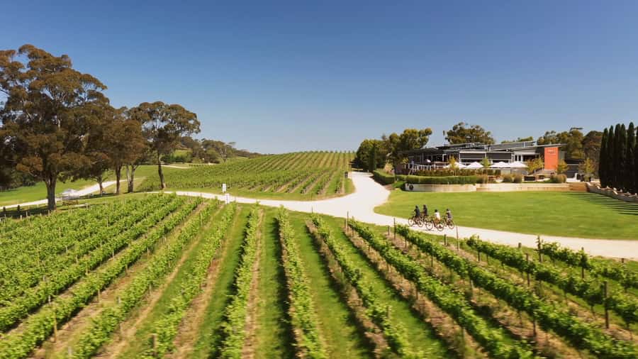 Hahndorf: Gourmet Food & Wine E-Bike Tour - Hahndorf by e-bike: a historic main street moment