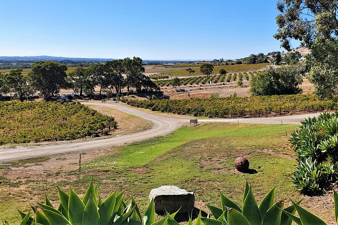 Half-day Private Barossa Valley Tour by Red Cab from Tanunda - Tasting expectations: what’s included and what may cost a little extra