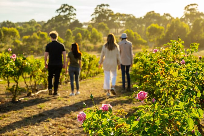 Jurlique Farm Tour - Key highlights you can’t miss