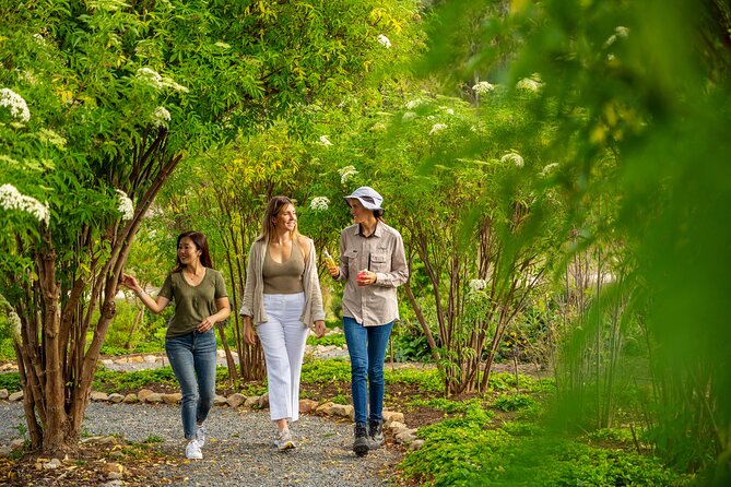 Jurlique Farm Tour - Price and value: is $28.69 a fair deal?