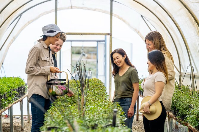 Jurlique Farm Tour - A 90-minute plan built around the whole plant-to-product story