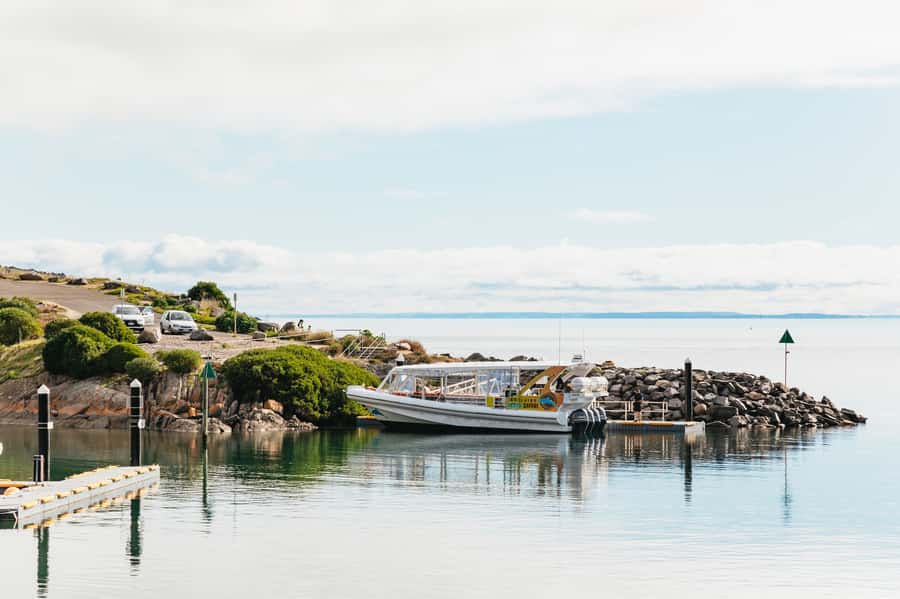 Kangaroo Island: 75-Minute Coastal Safari - Should You Book? My Bottom Line
