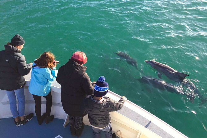 Kangaroo Island: 75-Minute Coastal Safari - How the Skipper Searches for Dolphins, Seals, and Eagles