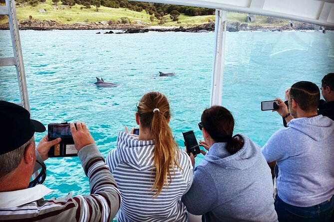 Kangaroo Island: 75-Minute Coastal Safari - Wildlife Expectations: Dolphins, Seals, Sea Lions, and Marine Birds