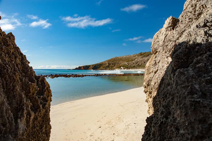 Kangaroo Island: Full-Day Guided Island Life Tour - From Cygnet River valley to the plateau: getting your bearings fast