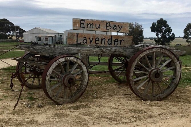Kangaroo Island Half Day Tasting Tour - Key things to know before you go