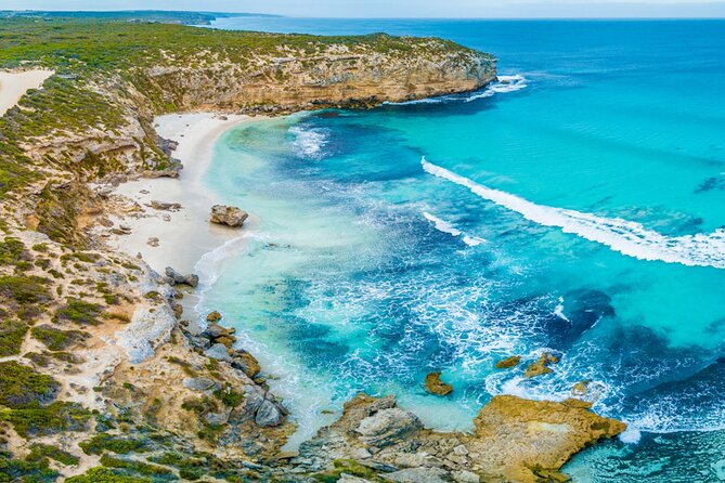 Kangaroo Island Half-Day Tour - Pace, roads, and weather: the real things to plan for