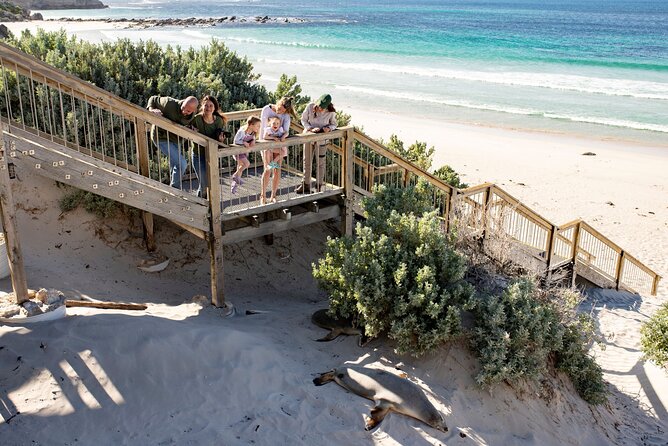 Kangaroo Island in a Day Tour from Adelaide - A 16-Hour Kangaroo Island Hit From Adelaide
