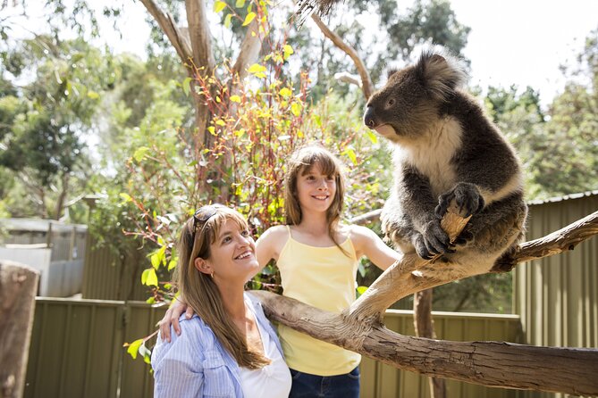 Kangaroo Island in a Day Tour from Adelaide - Lunch, Snacks, and What to Pack for a Long Day