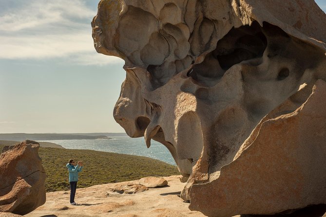Kangaroo Island in a Day Tour from Adelaide - From Adelaide to Cape Jervis: Where the Day Really Begins