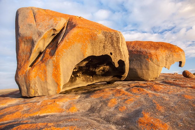 Kangaroo Island Luxury Small Group 'Flinders Chase Focus' Full Day Tour - Cape du Couedic and the sea-life angle you shouldn’t miss