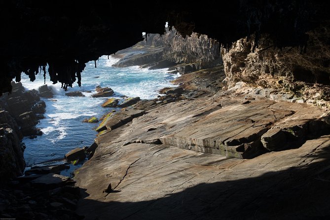 Kangaroo Island Luxury Small Group 'Flinders Chase Focus' Full Day Tour - Flinders Chase National Park: your best wildlife odds start here