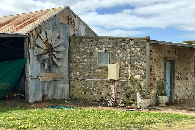 Kangaroo Island Luxury Small Group 'Island Life' Full Day Tour - Stop 4: Seal Bay Conservation Park and private beach time with sea lions