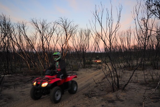 Kangaroo Island Quad Bike (ATV) Tours - Choosing the route: beaches, viewpoints, and gravel-track grit