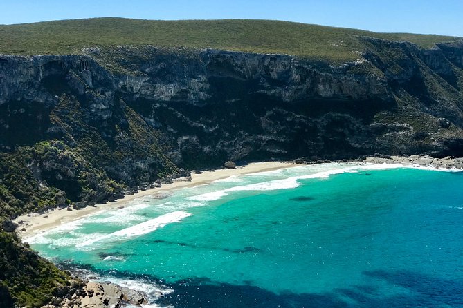 Kangaroo Island Scenic Nature and Wildlife Day Tour - The Wildlife-Finding Advantage: Why the Guide Makes the Day