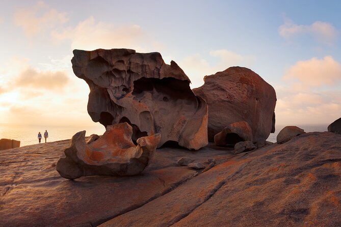 Kangaroo Island Shore Excursion Scenic Trail Tour - Flinders Chase National Park: where the driving finally pays off