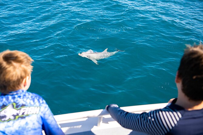 Kangaroo Island - Swim with Dolphins/Seals/Coastal Snorkel - Coastal Snorkeling: What You’ll Notice in the Water