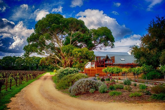 Langhorne Creek Wine Region Daytrip with Lunch from Adelaide - Key things I’d lock in before you go