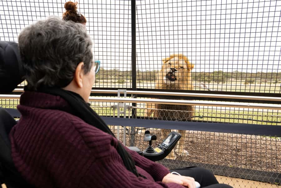 Lions 360 Experience and a Day at Monarto Safari Park - Monarto Safari Park after the lions: shuttle, tracks, and daily keeper talks