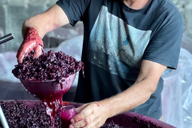 Luke's McLaren Vale Wine Tour - Small-group size (max 12) and why it changes the whole feel