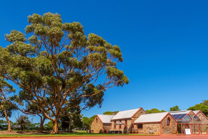 McLaren Vale and Glenelg Wine Tasting and Sightseeing (Half-day Afternoon) - The Onkaparinga Hills drive: wildlife you might actually spot