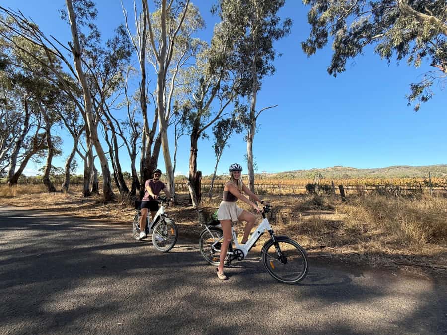 McLaren Vale: E-Bike Rental to Explore the Vineyards - What I like most: service, route help, and real variety