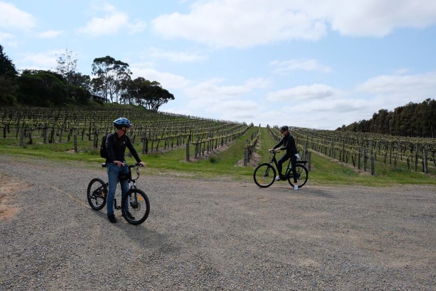 McLaren Vale: E-Bike Rental to Explore the Vineyards - Winery and tasting stops: how to make it feel like an adventure