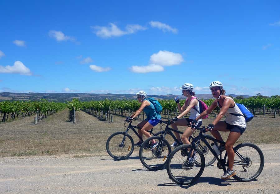 Mclaren Vale Hills Vines and Wines Bike Tour from Adelaide - Key Points to Know Before You Go