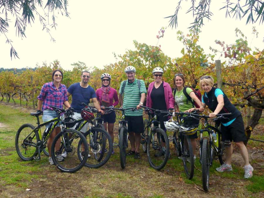 Mclaren Vale Hills Vines and Wines Bike Tour from Adelaide - How the Day Flows: Adelaide Pickup to Vale Vineyards
