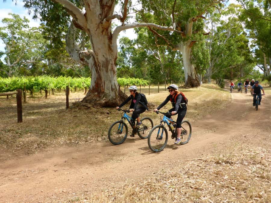 Mclaren Vale Hills Vines and Wines Bike Tour from Adelaide - Lunch in the Vale: A Local Produce Platter That’s Actually Useful