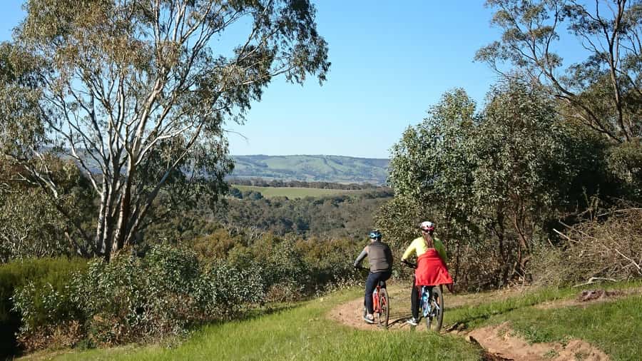 Mclaren Vale Hills Vines and Wines Bike Tour from Adelaide - Bikes, Helmets, and Getting Comfortable Fast