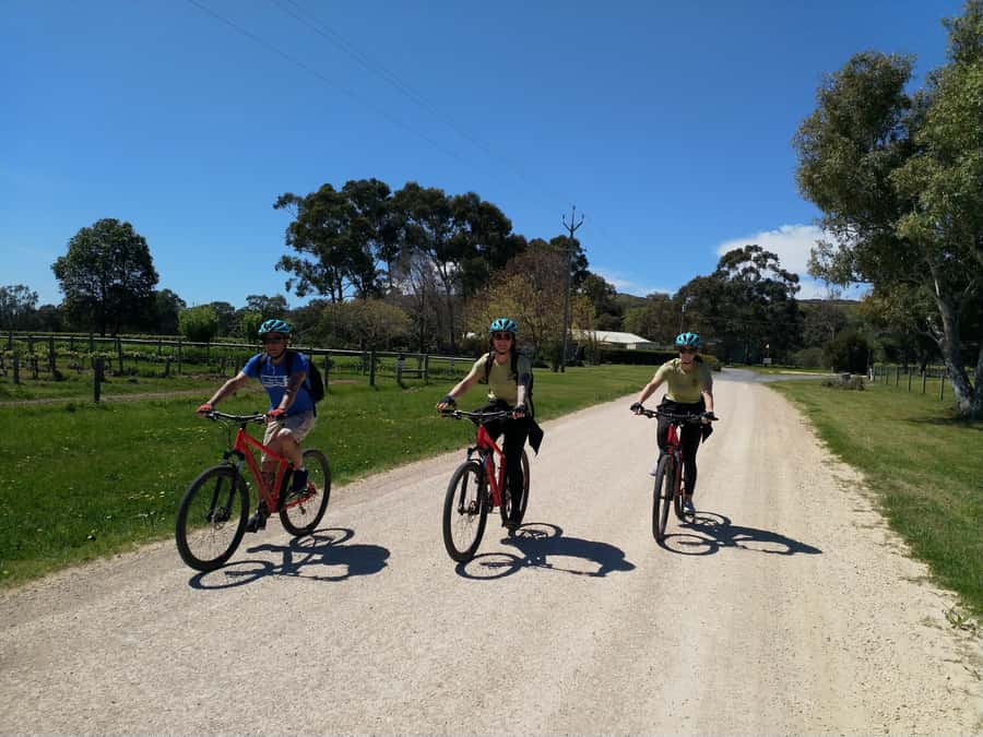 Mclaren Vale Hills Vines and Wines Bike Tour from Adelaide - Small Group Dynamics: Why Limited to 10 Makes a Difference