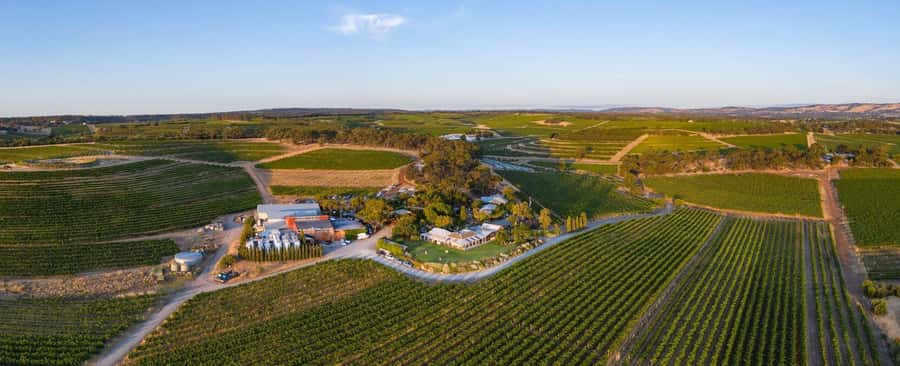 McLaren Vale North: Hop-On Hop-Off Tour - Key things to know before you go