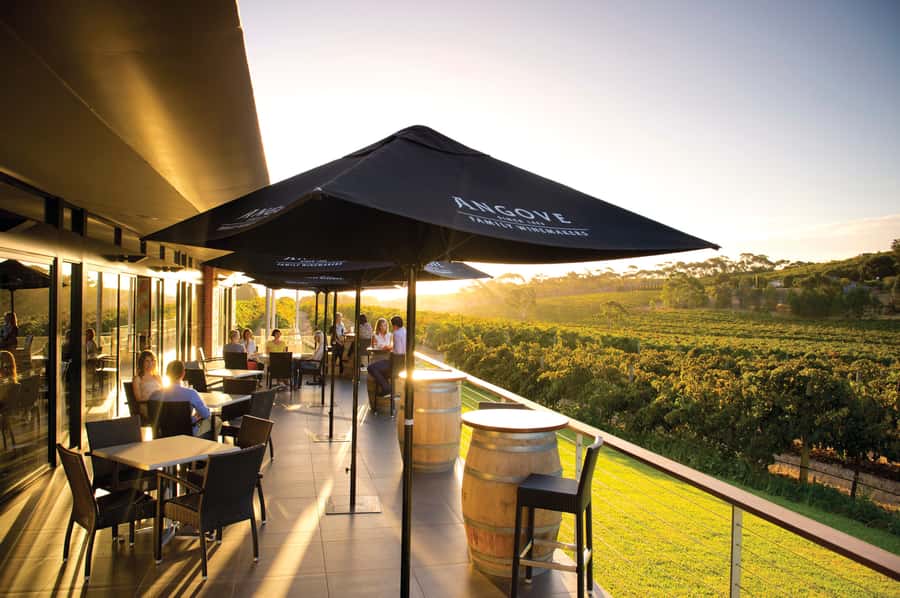 McLaren Vale North: Hop-On Hop-Off Tour - McLaren Vale North is built for a self-paced wine day