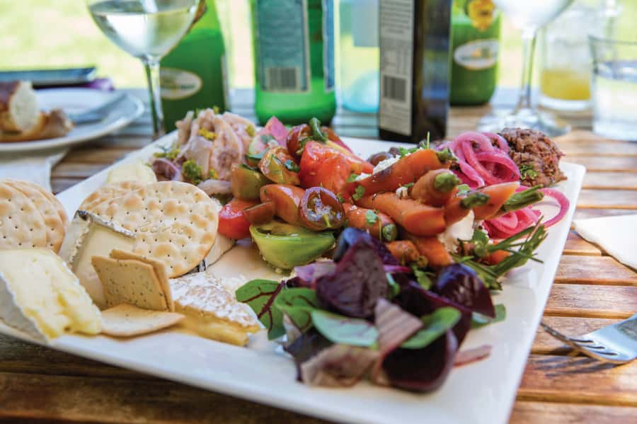 McLaren Vale North: Hop-On Hop-Off Tour - 15+ wineries on the route: how to choose without wasting time
